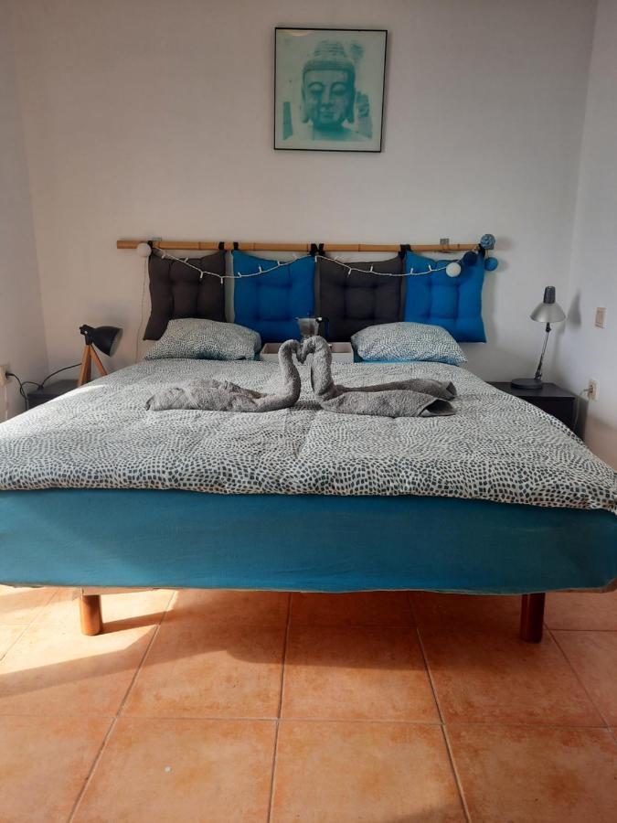Sun & Surf Loft, Near Main Street And Beach, Wifi Fiber, Winter Garden With Sea View Corralejo Exterior foto